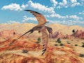 Pterosaur Rhamphorhynchus Royalty Free Stock Photo