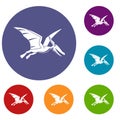 Pterosaurs dinosaur icons set Royalty Free Stock Photo