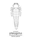 Pterygotus Royalty Free Stock Photo