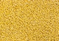 Ptitim grain texture