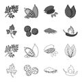 Ptrushka, black pepper, paprika, chili.Herbs and spices set collection icons in outline,monochrome style vector symbol