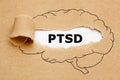 PTSD Post Traumatic Stress Disorder Brain Concept Royalty Free Stock Photo