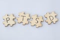 The PTSD Puzzle - Assembling the Pieces of Recovery. Post traumatic stress disorder