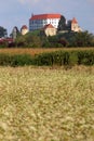 Ptuj Castle, Slovenia Royalty Free Stock Photo