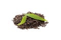 Pu-erh tea with fresh tea leaves on white Royalty Free Stock Photo