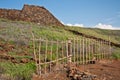 Pu'ukohola Heiau Royalty Free Stock Photo