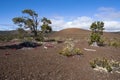 Pu upua i cinder cone at hawaii volcanoes national park