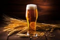 beverage drink pub alcohol glass gold foam pint beer lager. Generative AI. Royalty Free Stock Photo