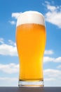 Pub lager foam froth beer drink mug refreshment beverage alcohol glass liquid Royalty Free Stock Photo