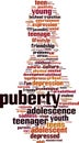 Puberty word cloud Royalty Free Stock Photo