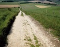 Public bridleway Royalty Free Stock Photo