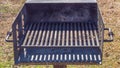 Public charcoal grill in a park