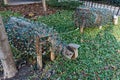 Christmas Decorations on Wooden Sheep, Chicago Illinois