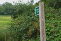 Public footpath sign on an English country walk. A wooden post supports a green and white sign Royalty Free Stock Photo