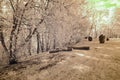 public park view in Turaida Sigulda, Latvia. infrared image