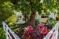 Public Garden with diverse flora a stone path, floor, chairs and table. Royalty Free Stock Photo