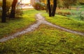 In the public garden near the highway, two footpaths merged into one. Conceptual landscape