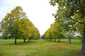 Green park during autumn surrounded by trees in London, United Kingdom Royalty Free Stock Photo