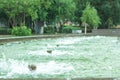 Public jet fountain with a time interval in urban park area, close up of refreshing splashes over emerald water ripples Royalty Free Stock Photo