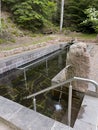 Public Kneipp pool at the foot of the local mountain Merkur in Baden-Baden