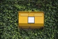 Public letterbox covered in ivy