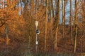 Public lighting pole. On the pole are the amplions of the local radio station. There are trees in the background