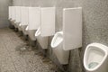 Public toilet with gray walls and many white urinals Royalty Free Stock Photo