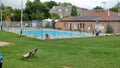 Public open swimming pool in Etobicoke