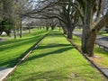 Public park alongside the Manawatu river in the city of Palmerston North in New Zealand. Royalty Free Stock Photo