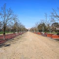 Public park called CAMPO MARZO in Vicenza