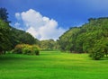 Public park in the city and blue sky white cloud Royalty Free Stock Photo