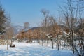 public park covered by snow during winter at sunny day and blue sky