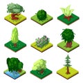 Public park decorative trees isometric 3D set