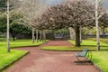 Public park in downtown with wooden bench near soil sidewalk Royalty Free Stock Photo