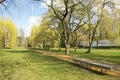 Public park in early spring, nature beginning turn to green