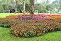 Public park full of colorful flowers