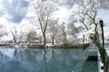 Public park with near infrared