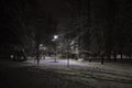 Public park at night