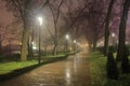 A public park in Odessa called Greek on a rainy foggy night Royalty Free Stock Photo