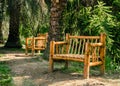 Public park with palm trees and bamboo benches