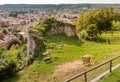 Medieval Rocca Borromea of Arona above the city, Arona, Piedmont, Italy