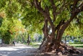 Public park in Santiago, Chile Royalty Free Stock Photo