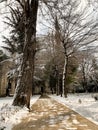 Public park with snow in january first snow