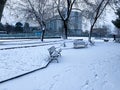 Public park with snow in january first snow