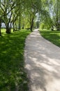 Public park in summer time, greenery, path throw and bench, sunny, blue sky Royalty Free Stock Photo