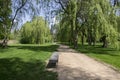 Public park in summer time, greenery, path throw and bench, sunny, blue sky Royalty Free Stock Photo