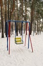 In a public park there are metal swings for entertainment and recreation for children, tall pine trees are all around Royalty Free Stock Photo