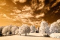 public park view in Turaida Sigulda, Latvia. infrared image