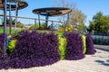 Public park with wooden sunshades Royalty Free Stock Photo