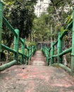 a public path in the garden Royalty Free Stock Photo